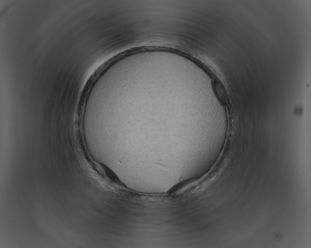 X0000093250928200710171422