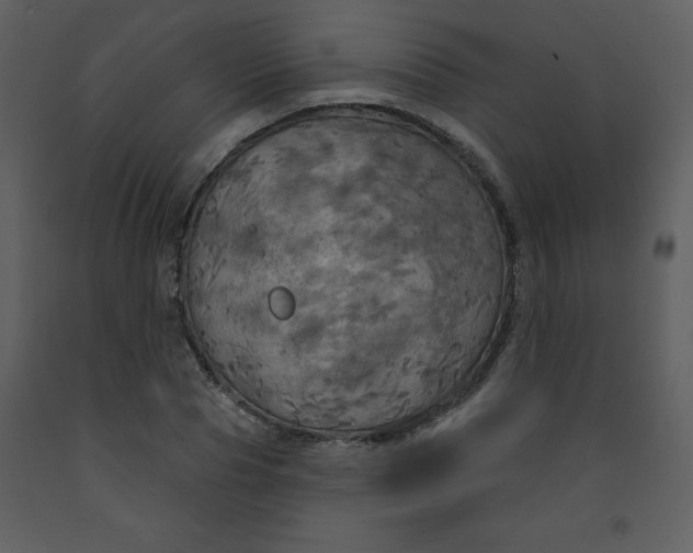 X0000093250929200710171422