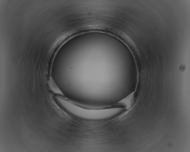 X0000093250930200710171422