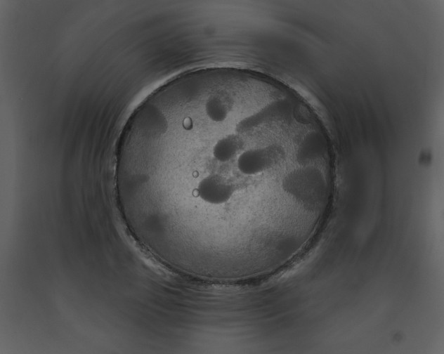 X0000093250933200710171422