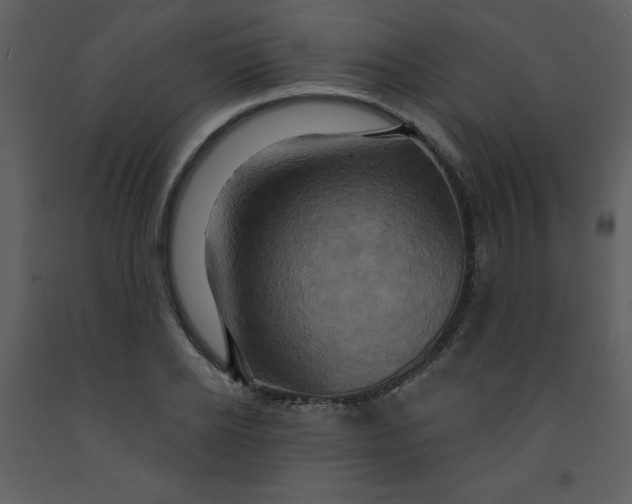 X0000093250934200710171422