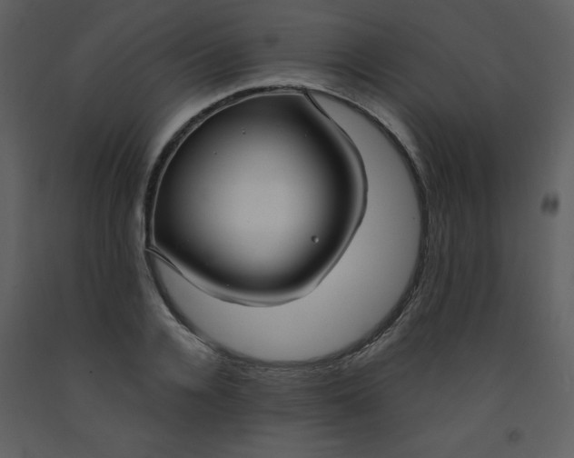 X0000093250936200710171422