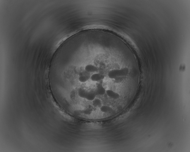 X0000093250937200710171422