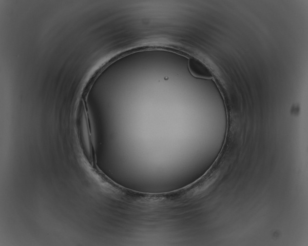 X0000093250939200710171422