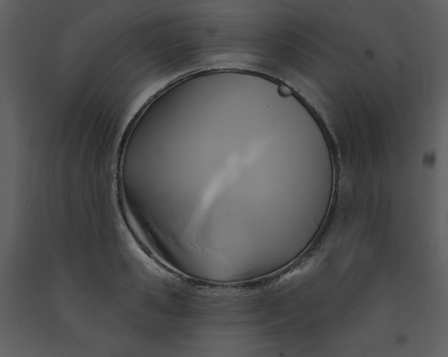 X0000093250941200710171422