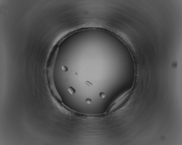 X0000093250942200710171422