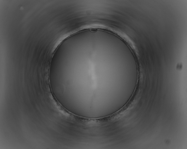 X0000093250945200710171422