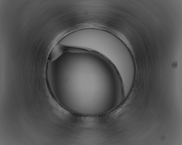 X0000093250946200710171422