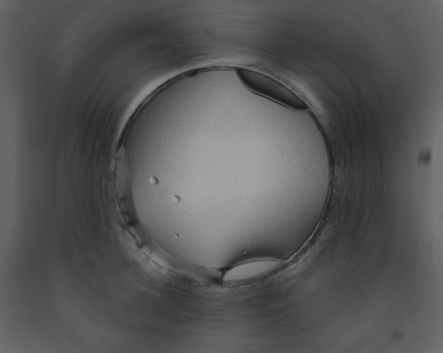 X0000093250948200710171422