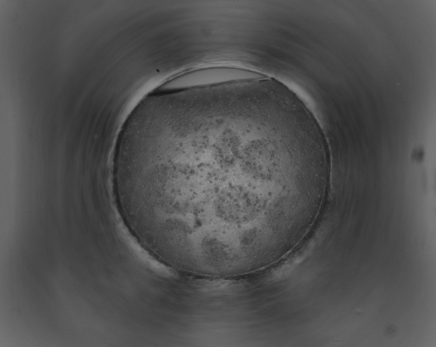 X0000093250949200710171422