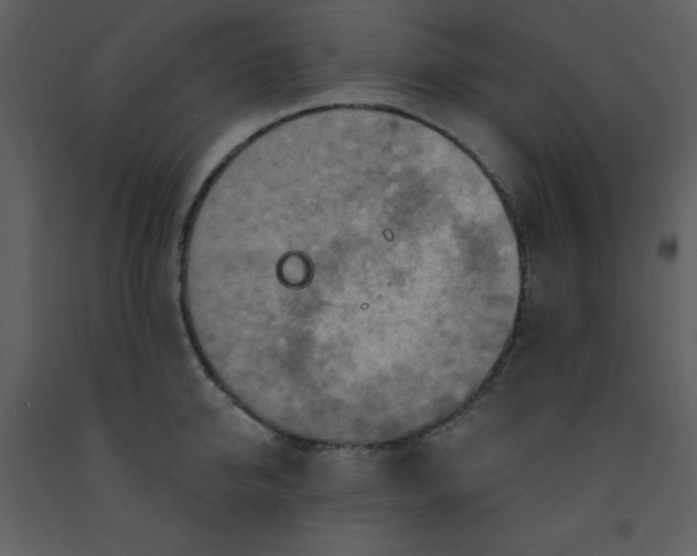 X0000093250950200710171422