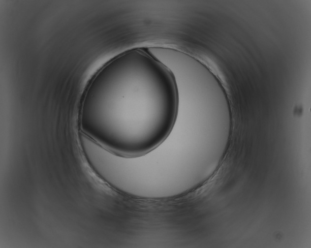 X0000093250952200710171422