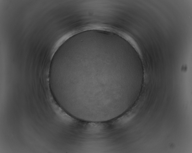 X0000093250954200710171422