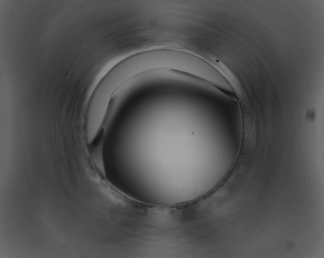 X0000093250956200710171422