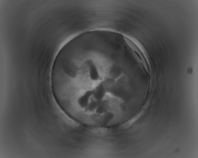 X0000093250957200710171422