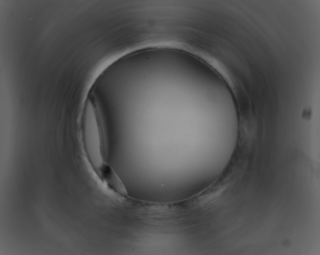 X0000093250959200710171422