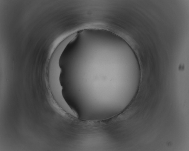 X0000093250960200710171422