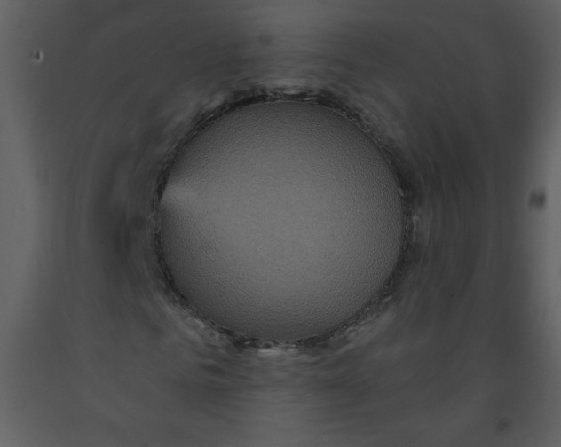 X0000093250961200710171422