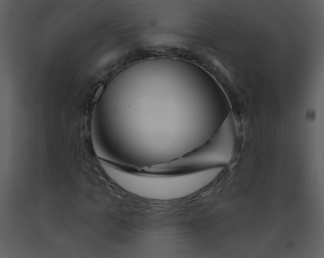 X0000093250965200710171422