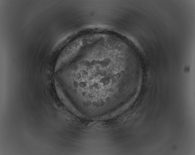 X0000093250967200710171422