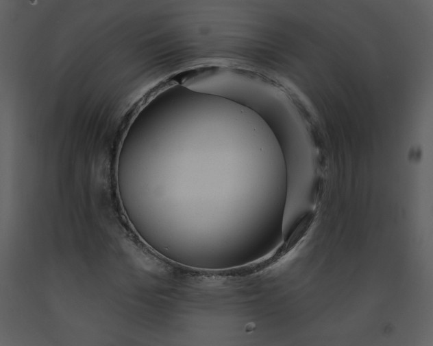 X0000093250969200710171422