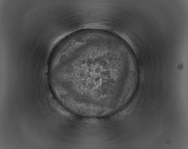 X0000093250971200710171422