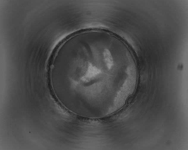 X0000093250975200710171422