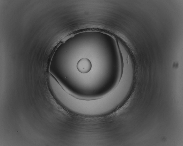 X0000093250977200710171422