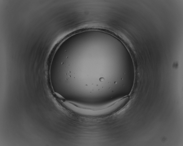 X0000093250981200710171421