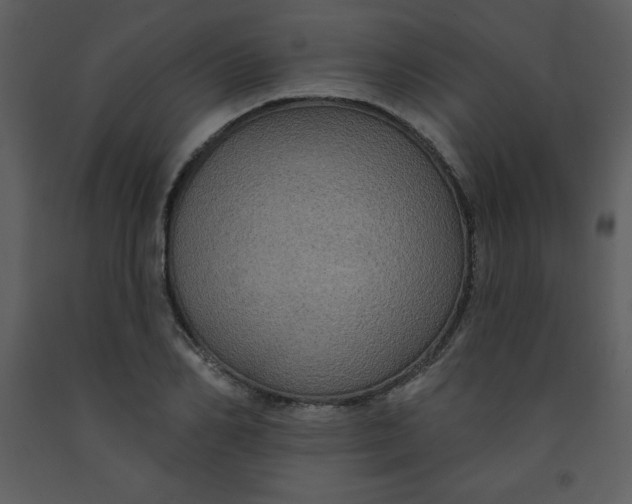 X0000093250982200710171421