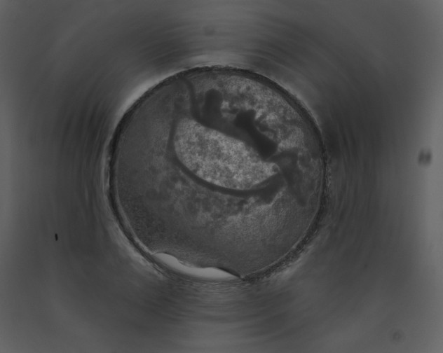 X0000093250983200710171421