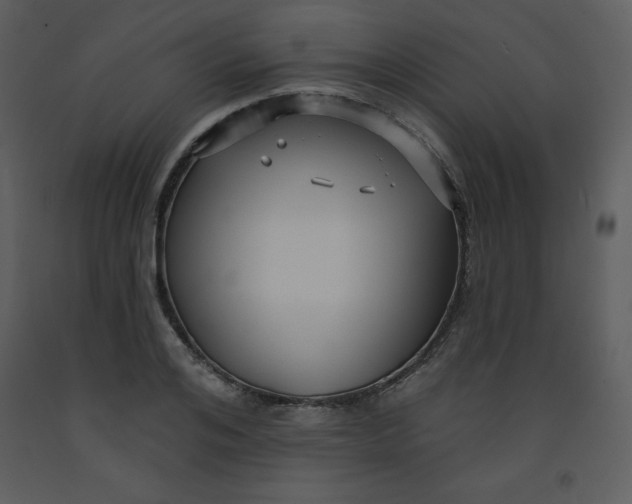 X0000093250984200710171421