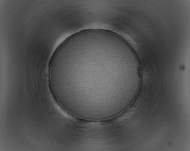 X0000093250990200710171421