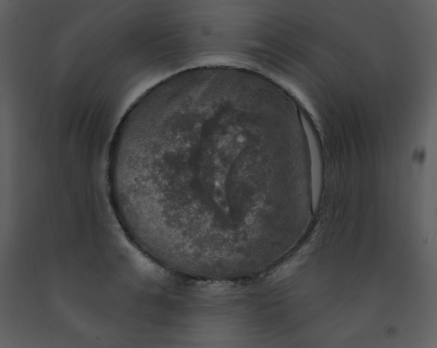 X0000093250991200710171421