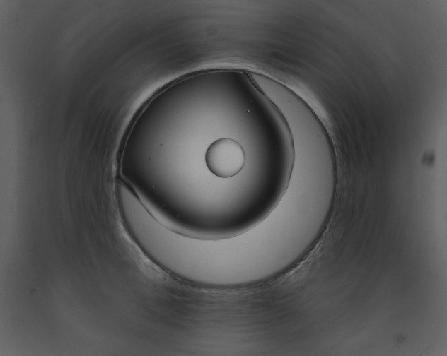 X0000093250996200710171421