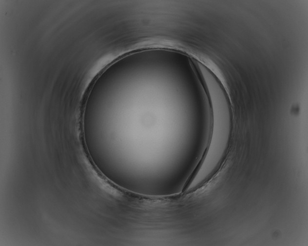 X0000093250997200710171421