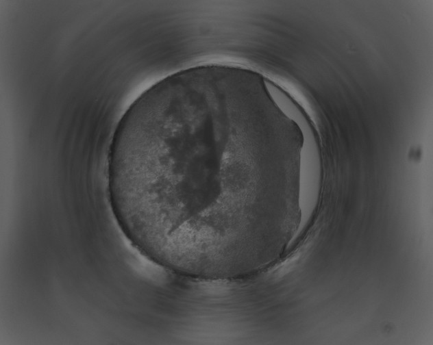 X0000093250999200710171421