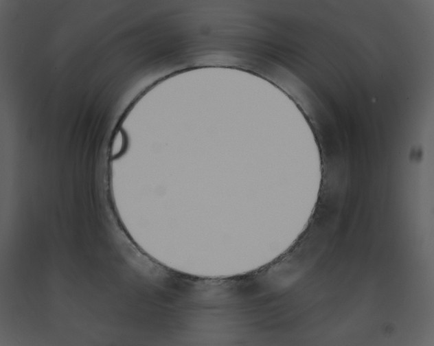 X0000093251000200710171421