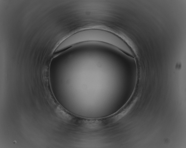 X0000093251001200710171421