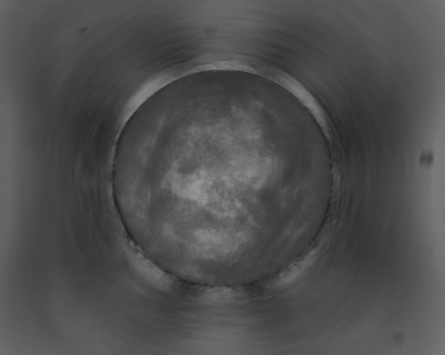 X0000093251002200710171421