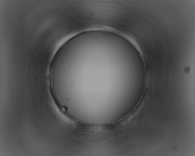 X0000093251003200710171421