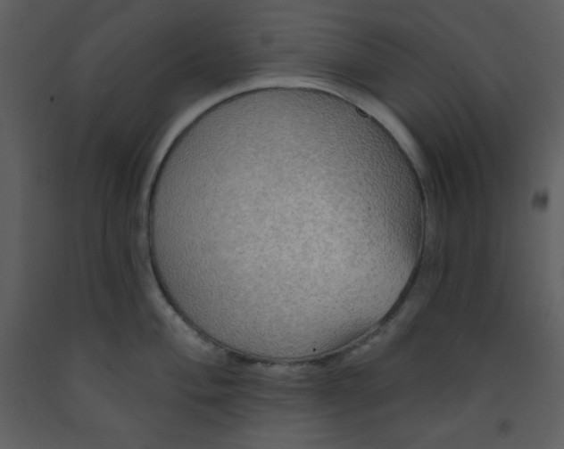 X0000093251004200710171421