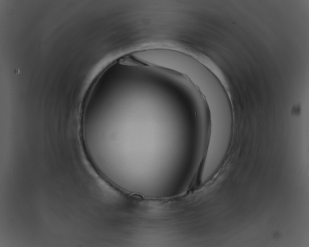 X0000093251005200710171421