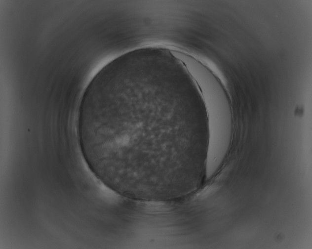 X0000093251007200710171421