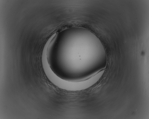 X0000093251010200710171420