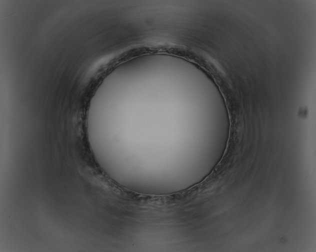 X0000093251016200710171420