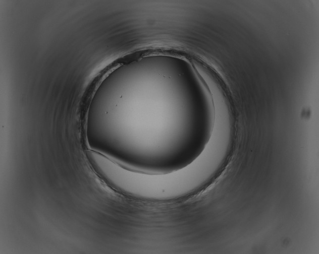 X0000093251018200710171420