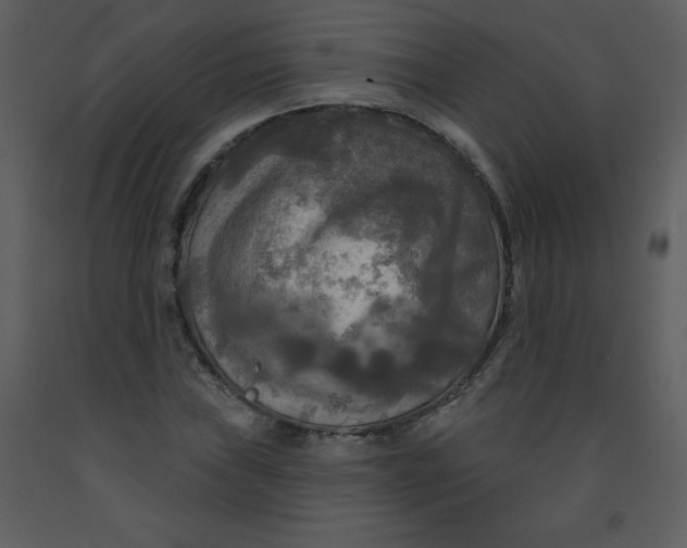 X0000093251019200710171420