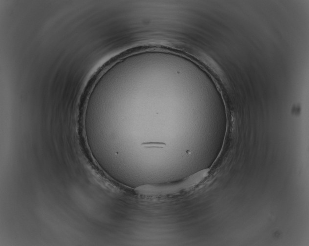 X0000093251020200710171420