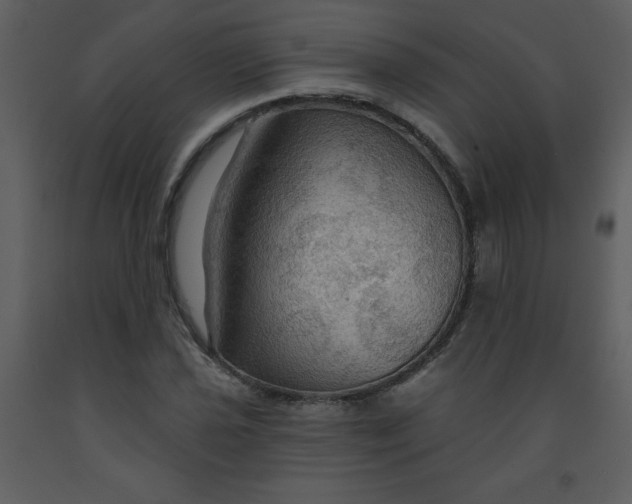 X0000093251021200710171420